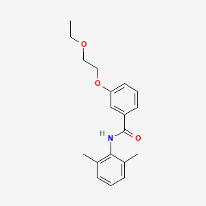 molecular formula C19H23NO3 B4233309 N-(2,6-dimethylphenyl)-3-(2-ethoxyethoxy)benzamide 