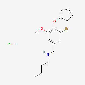 molecular formula C17H27BrClNO2 B4234355 N-[3-bromo-4-(cyclopentyloxy)-5-methoxybenzyl]-1-butanamine hydrochloride 