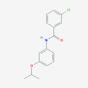 3-chloro-N-(3-isopropoxyphenyl)benzamide