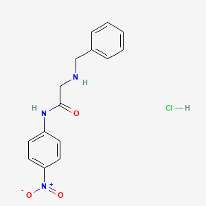 molecular formula C15H16ClN3O3 B4237194 N~2~-benzyl-N~1~-(4-nitrophenyl)glycinamide hydrochloride 