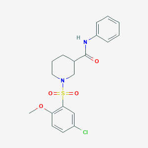 molecular formula C19H21ClN2O4S B4238548 1-[(5-chloro-2-methoxyphenyl)sulfonyl]-N-phenyl-3-piperidinecarboxamide 