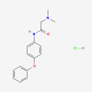 2-(dimethylamino)-N-(4-phenoxyphenyl)acetamide;hydrochloride