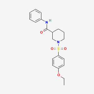 molecular formula C20H24N2O4S B4241407 1-(4-ETHOXYBENZENESULFONYL)-N-PHENYLPIPERIDINE-3-CARBOXAMIDE 