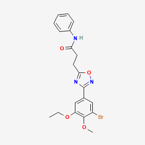 molecular formula C20H20BrN3O4 B4242750 3-[3-(3-bromo-5-ethoxy-4-methoxyphenyl)-1,2,4-oxadiazol-5-yl]-N-phenylpropanamide 