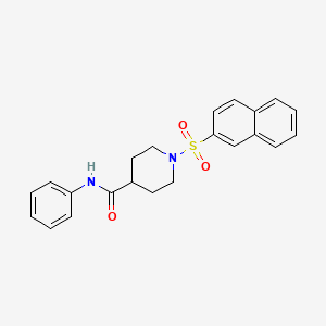 1-naphthalen-2-ylsulfonyl-N-phenylpiperidine-4-carboxamide