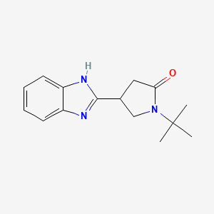 molecular formula C15H19N3O B4244469 4-(1H-benzimidazol-2-yl)-1-tert-butylpyrrolidin-2-one 