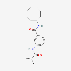 molecular formula C19H28N2O2 B4244876 N-CYCLOOCTYL-3-(2-METHYLPROPANAMIDO)BENZAMIDE 