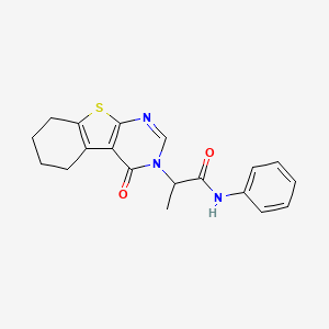 2-(4-oxo-5,6,7,8-tetrahydro-[1]benzothiolo[2,3-d]pyrimidin-3-yl)-N-phenylpropanamide