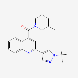 2-(1-tert-butyl-1H-pyrazol-4-yl)-4-[(3-methylpiperidin-1-yl)carbonyl]quinoline