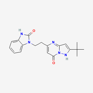 molecular formula C19H21N5O2 B4248377 2-tert-butyl-5-[2-(2-oxo-3H-benzimidazol-1-yl)ethyl]-1H-pyrazolo[1,5-a]pyrimidin-7-one 