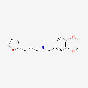 molecular formula C17H25NO3 B4252510 (2,3-dihydro-1,4-benzodioxin-6-ylmethyl)methyl[3-(tetrahydrofuran-2-yl)propyl]amine 