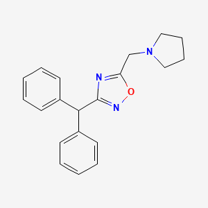 molecular formula C20H21N3O B4254568 3-(diphenylmethyl)-5-(1-pyrrolidinylmethyl)-1,2,4-oxadiazole 