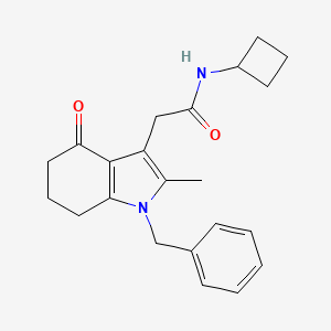molecular formula C22H26N2O2 B4257549 2-(1-benzyl-2-methyl-4-oxo-4,5,6,7-tetrahydro-1H-indol-3-yl)-N-cyclobutylacetamide 