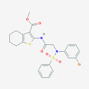 molecular formula C24H23BrN2O5S2 B425844 Methyl 2-({[3-bromo(phenylsulfonyl)anilino]acetyl}amino)-4,5,6,7-tetrahydro-1-benzothiophene-3-carboxylate 