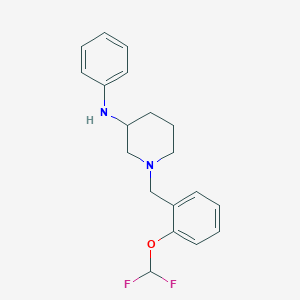 molecular formula C19H22F2N2O B4258634 1-[2-(difluoromethoxy)benzyl]-N-phenyl-3-piperidinamine 