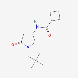 molecular formula C14H24N2O2 B4259355 N-[1-(2,2-dimethylpropyl)-5-oxo-3-pyrrolidinyl]cyclobutanecarboxamide 