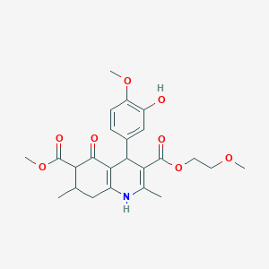 molecular formula C24H29NO8 B4261802 3-(2-methoxyethyl) 6-methyl 4-(3-hydroxy-4-methoxyphenyl)-2,7-dimethyl-5-oxo-1,4,5,6,7,8-hexahydro-3,6-quinolinedicarboxylate 
