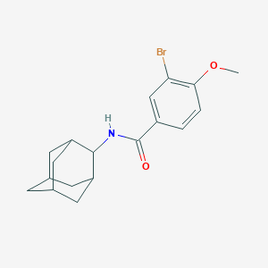 molecular formula C18H22BrNO2 B426193 N-(2-adamantyl)-3-bromo-4-methoxybenzamide 