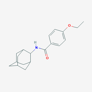 molecular formula C19H25NO2 B426197 N-(2-adamantyl)-4-ethoxybenzamide 
