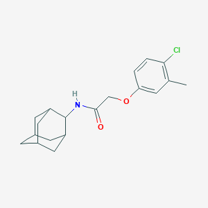 molecular formula C19H24ClNO2 B426238 N-(2-adamantyl)-2-(4-chloro-3-methylphenoxy)acetamide 
