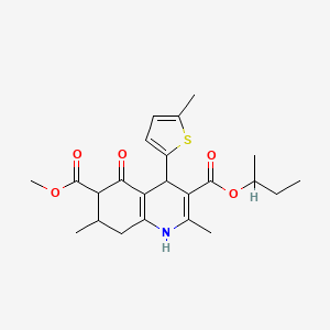 molecular formula C23H29NO5S B4262578 3-sec-butyl 6-methyl 2,7-dimethyl-4-(5-methyl-2-thienyl)-5-oxo-1,4,5,6,7,8-hexahydro-3,6-quinolinedicarboxylate 