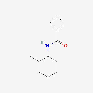 molecular formula C12H21NO B4263594 N-(2-methylcyclohexyl)cyclobutanecarboxamide 