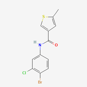 molecular formula C12H9BrClNOS B4265364 N-(4-bromo-3-chlorophenyl)-5-methyl-3-thiophenecarboxamide 