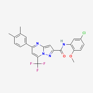 molecular formula C23H18ClF3N4O2 B4265537 N-(5-chloro-2-methoxyphenyl)-5-(3,4-dimethylphenyl)-7-(trifluoromethyl)pyrazolo[1,5-a]pyrimidine-2-carboxamide 