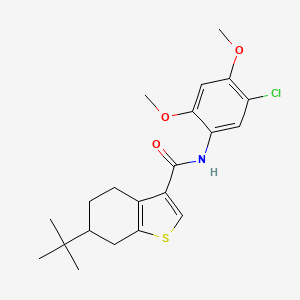 molecular formula C21H26ClNO3S B4266889 6-tert-butyl-N-(5-chloro-2,4-dimethoxyphenyl)-4,5,6,7-tetrahydro-1-benzothiophene-3-carboxamide 