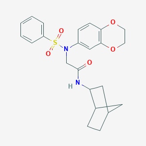 molecular formula C23H26N2O5S B426756 N-bicyclo[2.2.1]hept-2-yl-2-[2,3-dihydro-1,4-benzodioxin-6-yl(phenylsulfonyl)amino]acetamide 