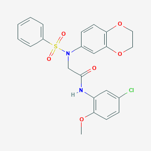 N-(5-chloro-2-methoxyphenyl)-2-[2,3-dihydro-1,4-benzodioxin-6-yl(phenylsulfonyl)amino]acetamide