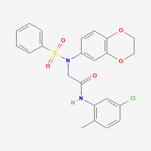 molecular formula C23H21ClN2O5S B426764 N-(5-chloro-2-methylphenyl)-2-[2,3-dihydro-1,4-benzodioxin-6-yl(phenylsulfonyl)amino]acetamide 