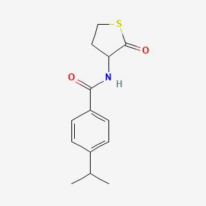 molecular formula C14H17NO2S B4268263 4-isopropyl-N-(2-oxotetrahydro-3-thienyl)benzamide 