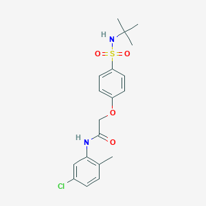 molecular formula C19H23ClN2O4S B426831 2-{4-[(tert-butylamino)sulfonyl]phenoxy}-N-(5-chloro-2-methylphenyl)acetamide 