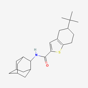 molecular formula C23H33NOS B4268673 N-2-adamantyl-5-tert-butyl-4,5,6,7-tetrahydro-1-benzothiophene-2-carboxamide 