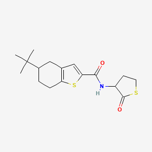 molecular formula C17H23NO2S2 B4268683 5-tert-butyl-N-(2-oxotetrahydro-3-thienyl)-4,5,6,7-tetrahydro-1-benzothiophene-2-carboxamide 