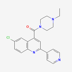 6-CHLORO-4-(4-ETHYLPIPERAZINE-1-CARBONYL)-2-(PYRIDIN-4-YL)QUINOLINE