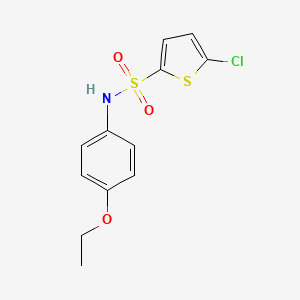 molecular formula C12H12ClNO3S2 B4276425 5-chloro-N-(4-ethoxyphenyl)thiophene-2-sulfonamide 