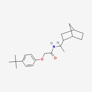 N-(1-bicyclo[2.2.1]hept-2-ylethyl)-2-(4-tert-butylphenoxy)acetamide