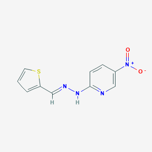 molecular formula C10H8N4O2S B427847 2-Thiophenecarbaldehyde {5-nitro-2-pyridinyl}hydrazone 