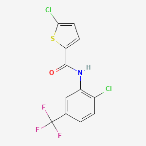molecular formula C12H6Cl2F3NOS B4278726 5-chloro-N-[2-chloro-5-(trifluoromethyl)phenyl]-2-thiophenecarboxamide 