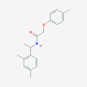 molecular formula C19H23NO2 B4279024 N-[1-(2,4-dimethylphenyl)ethyl]-2-(4-methylphenoxy)acetamide 