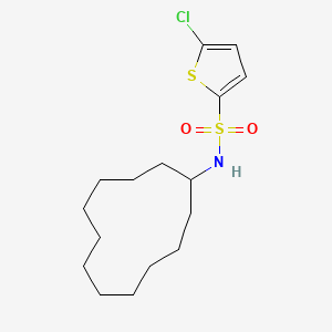 5-chloro-N-cyclododecyl-2-thiophenesulfonamide