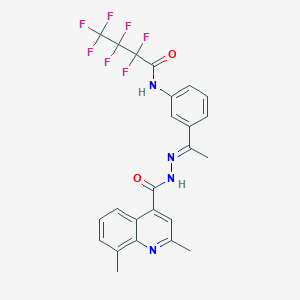 molecular formula C24H19F7N4O2 B4280715 N-(3-{N-[(2,8-dimethyl-4-quinolinyl)carbonyl]ethanehydrazonoyl}phenyl)-2,2,3,3,4,4,4-heptafluorobutanamide 