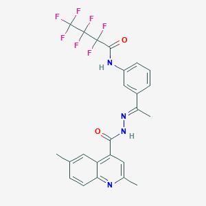 molecular formula C24H19F7N4O2 B4280731 N-(3-{N-[(2,6-dimethyl-4-quinolinyl)carbonyl]ethanehydrazonoyl}phenyl)-2,2,3,3,4,4,4-heptafluorobutanamide 