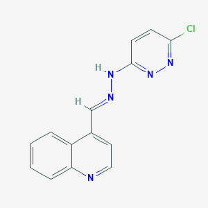 molecular formula C14H10ClN5 B428169 4-Quinolinecarbaldehyde (6-chloro-3-pyridazinyl)hydrazone 