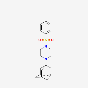 molecular formula C24H36N2O2S B4282378 1-(1-adamantyl)-4-[(4-tert-butylphenyl)sulfonyl]piperazine 