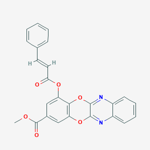 molecular formula C25H16N2O6 B428272 Methyl 4-(cinnamoyloxy)[1,4]benzodioxino[2,3-b]quinoxaline-2-carboxylate 