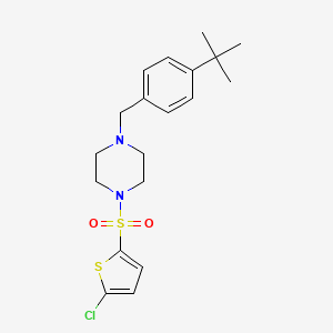 molecular formula C19H25ClN2O2S2 B4283202 1-(4-tert-butylbenzyl)-4-[(5-chloro-2-thienyl)sulfonyl]piperazine 