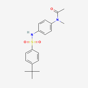 molecular formula C19H24N2O3S B4286843 N-(4-{[(4-tert-butylphenyl)sulfonyl]amino}phenyl)-N-methylacetamide 